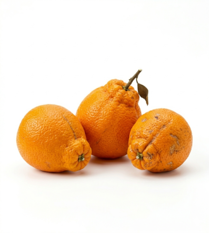 Wonky Oranges